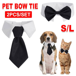 Adjustable Solid Colour Bow Tie Designer Pet Collar For Dog and Cat