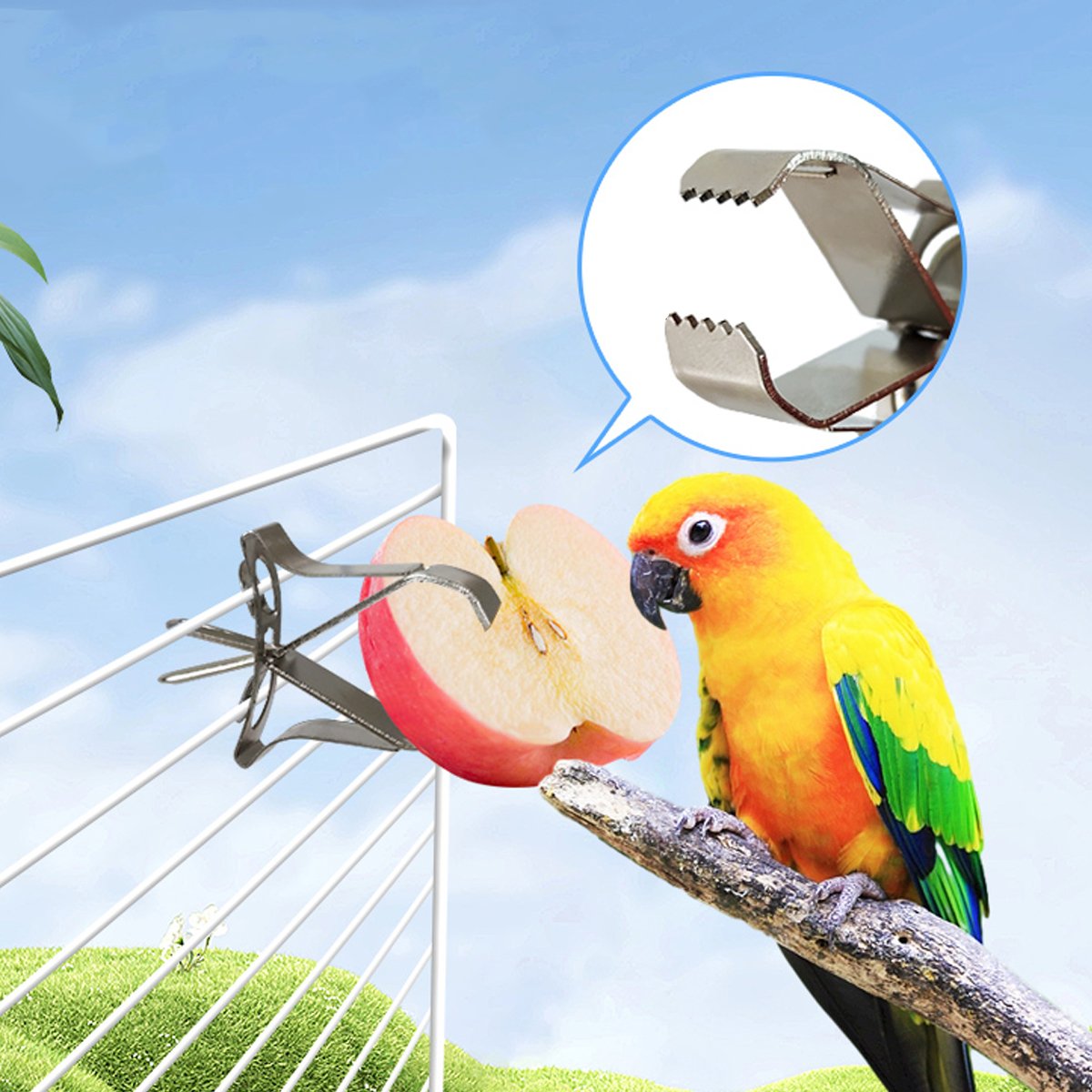 6X Fruit Pet Cage Accessories Bird Food Holders Clip Parrot Feeder Feeding Clamp