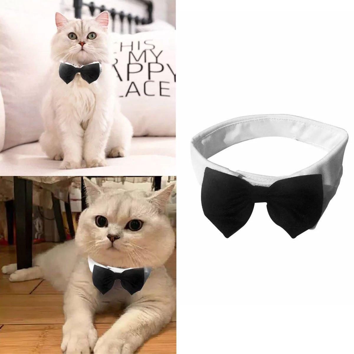 Adjustable Solid Colour Bow Tie Designer Pet Collar For Dog and Cat