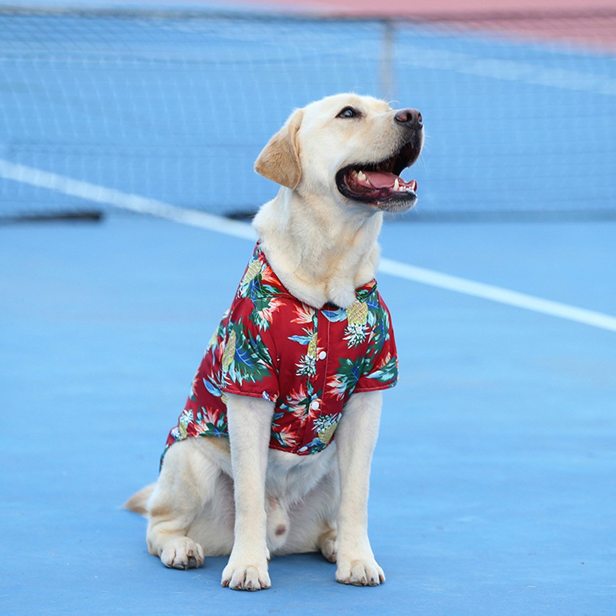 Pet Clothes Cat Dog Spring Summer Dog Hawaiian Shirt