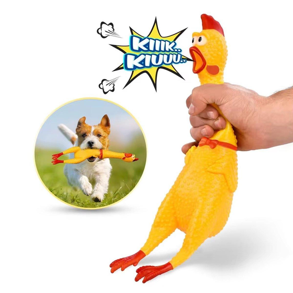 Durable Squeaky Dog Toy Set Multi-Size Fun for Dogs