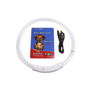 USB Rechargeable Light Up LED Dog Collar for Night Safety AU