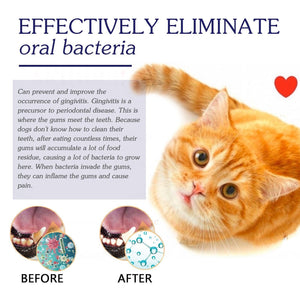 Enzyme-Based Pet Toothpaste for Fresh Breath & Healthy Gums