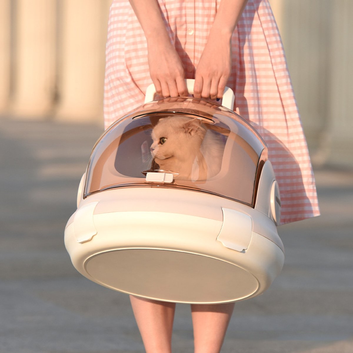 Portable Cat Carrier Space Capsule Large Capacity Aviation Travel Cat Crates