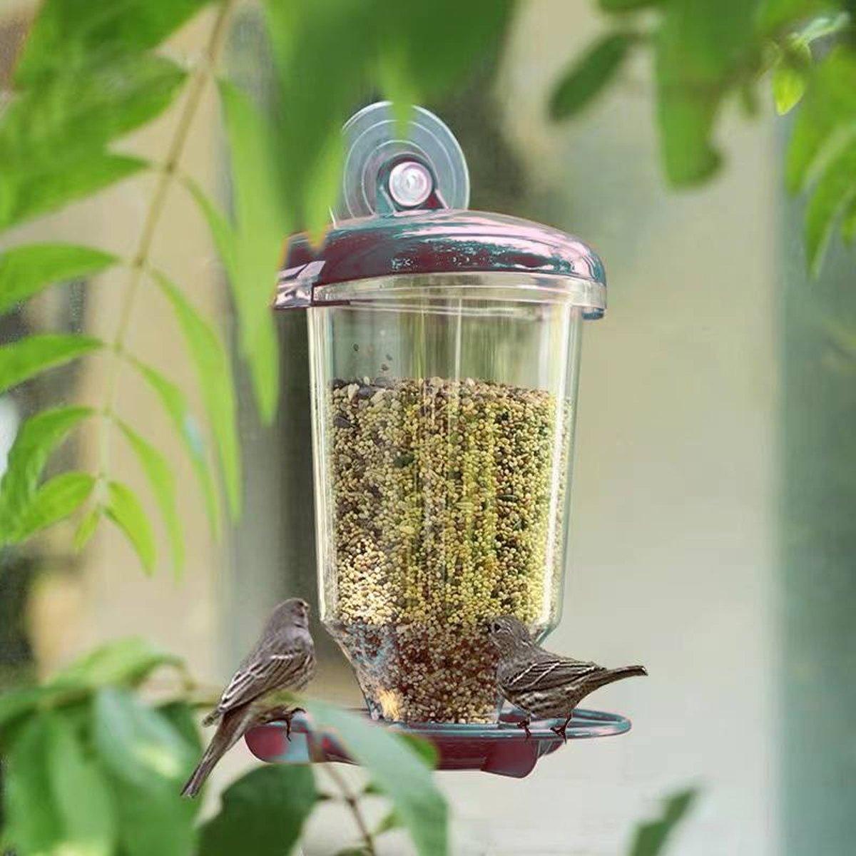 Clear Plastic Automatic Bird Feeder Suspended Suction Cup