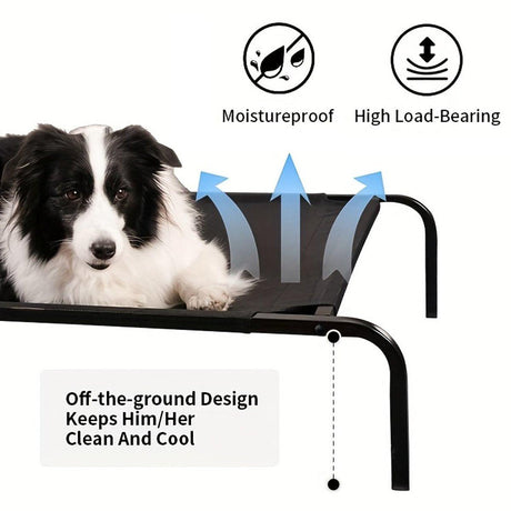 Heavy Duty Pet Raised Bed Elevated Dog Bed