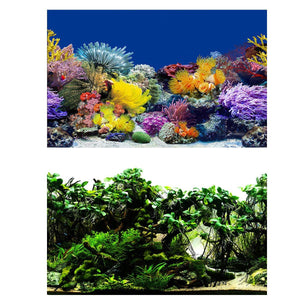 Double-Sided 3D Fish Tank Background Realistic PVC Aquarium Décor