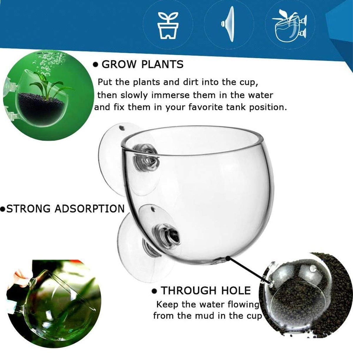 Aquarium Plant Cup for Breeding and Aquascaping Glass Water Plant Holder