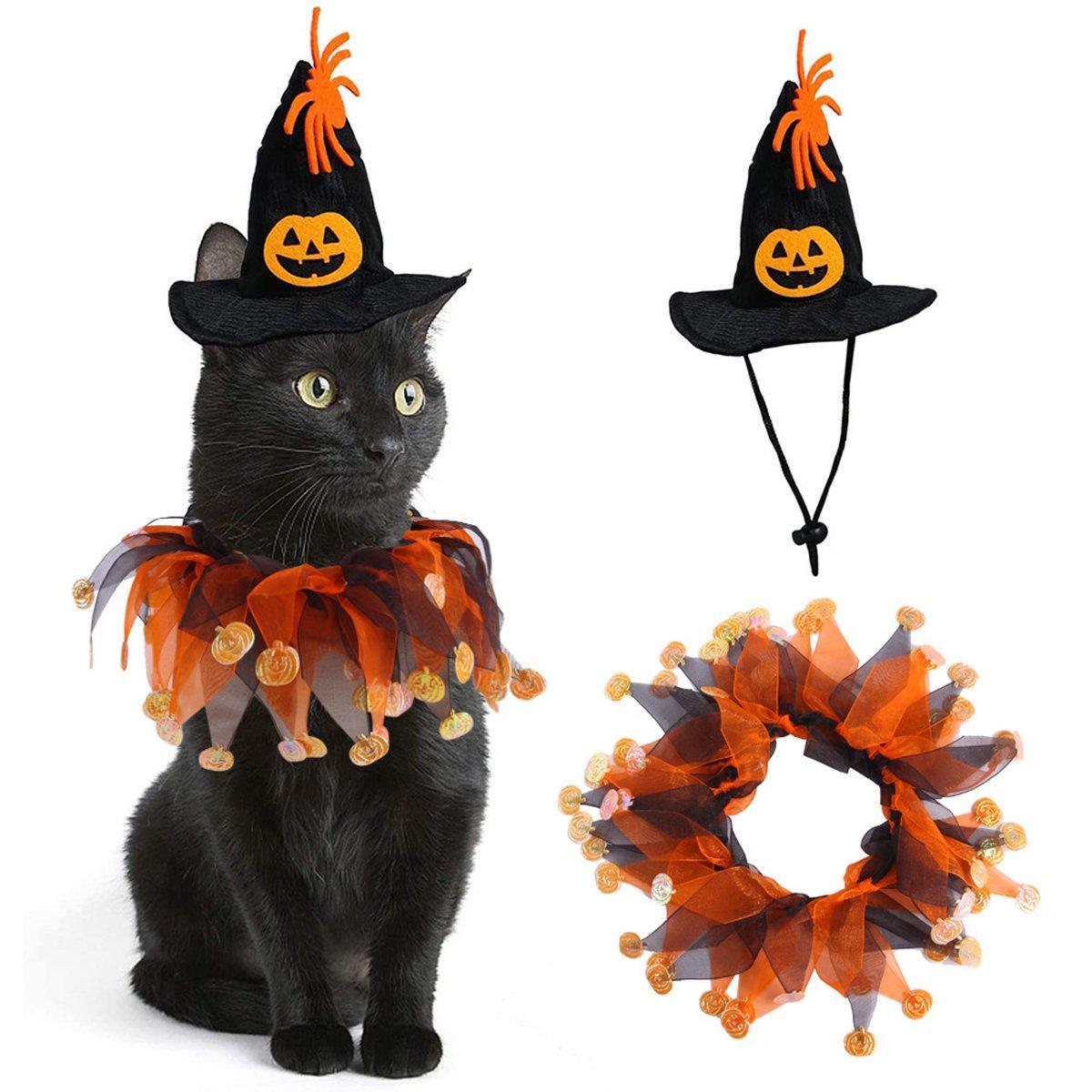 Halloween Cat Costume - Skull Pattern Hat and Scarf Set