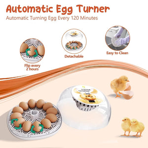 Automatic Small Egg Incubator for Chicken Pigeon