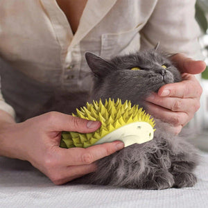 Durian Shape Cat Grooming Comb Tickling & Scratching Tool for Cats & Dogs