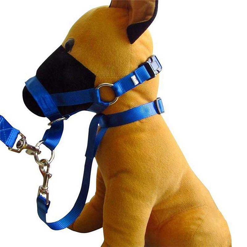 Dog Training Head Collar Halter Stop Pulling Training Tool Harness