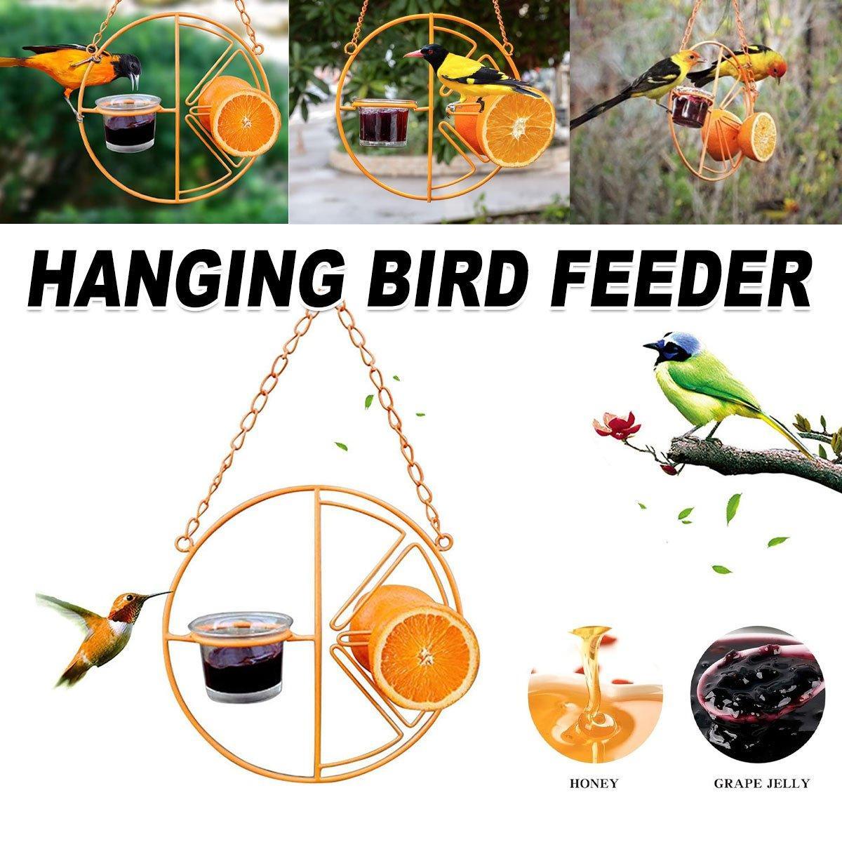 Hummingbird Feeding Bracket Outdoor Indoor Bird Feeder A Hummingbird Feeding Water