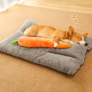 Durable Pet Carrot Toy for Chewing and Play Dog Toy