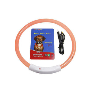 USB Rechargeable Light Up LED Dog Collar for Night Safety AU