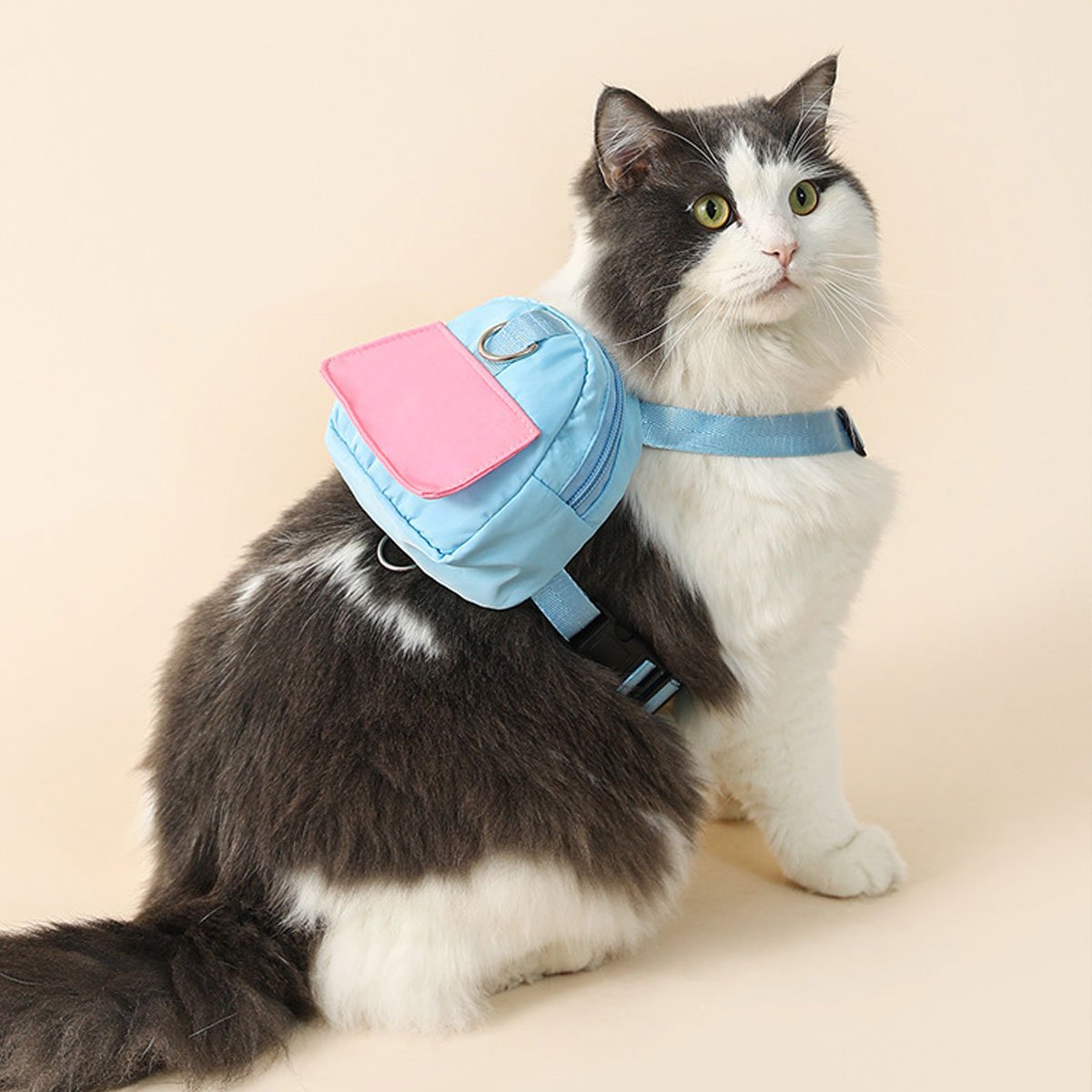 Comfortable and Adjustable Durable Dog Backpack Harness