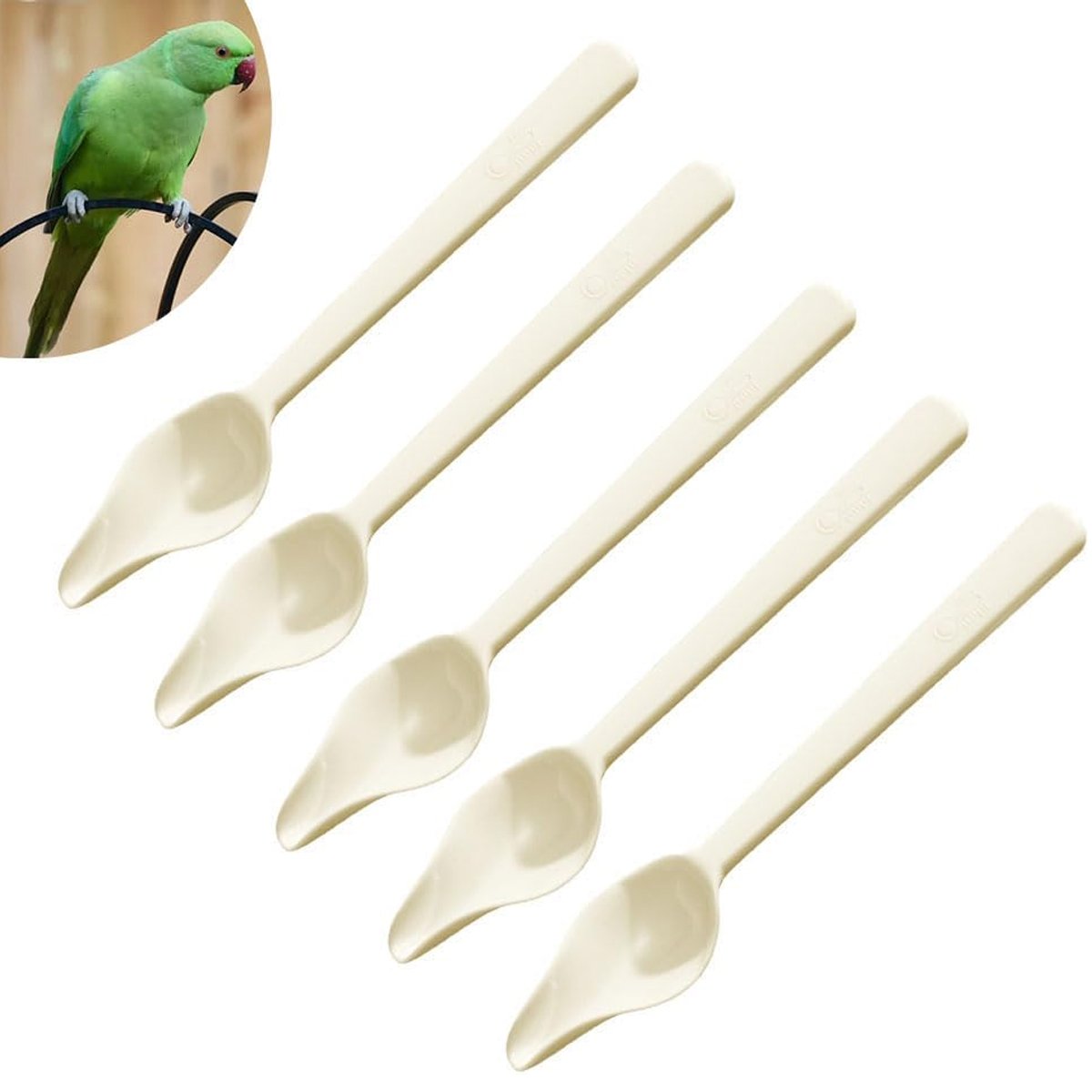 Parrot Feeding Spoon - Baby Bird Feeder Spoon 5PCS