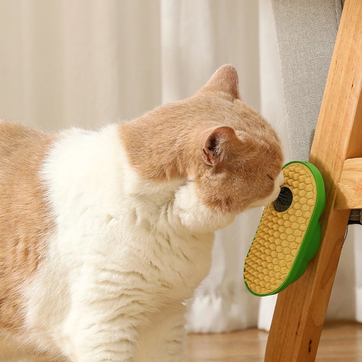 Cat Scratching Toy with Catnip