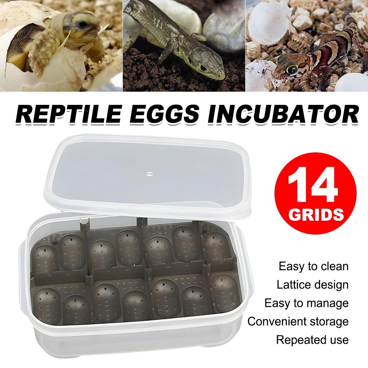 14 Grids Reptile Egg Incubator Secure Hatch Box for Lizards & Turtles