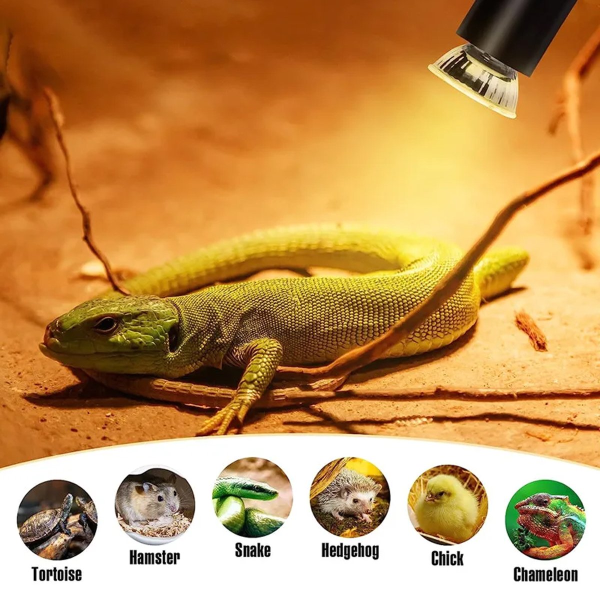 3PCS Reptile Heating Light Bulb UVA+UVB Tortoise Turtle Lizard UV Basking Lamp