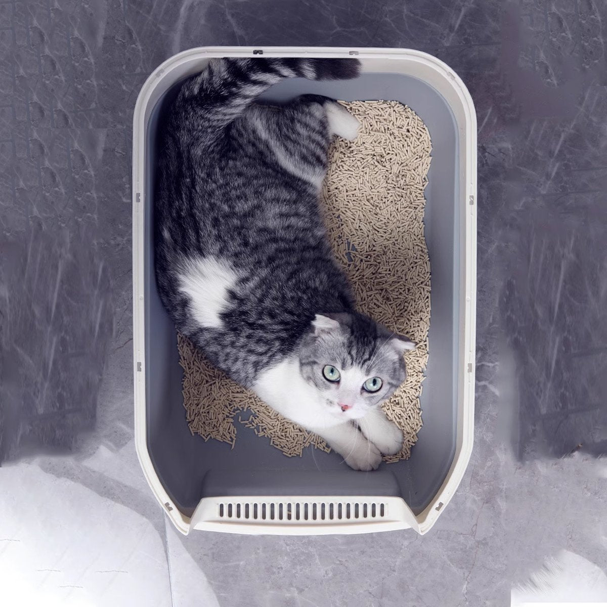 Large Detachable Enclosed Cat Litter Box