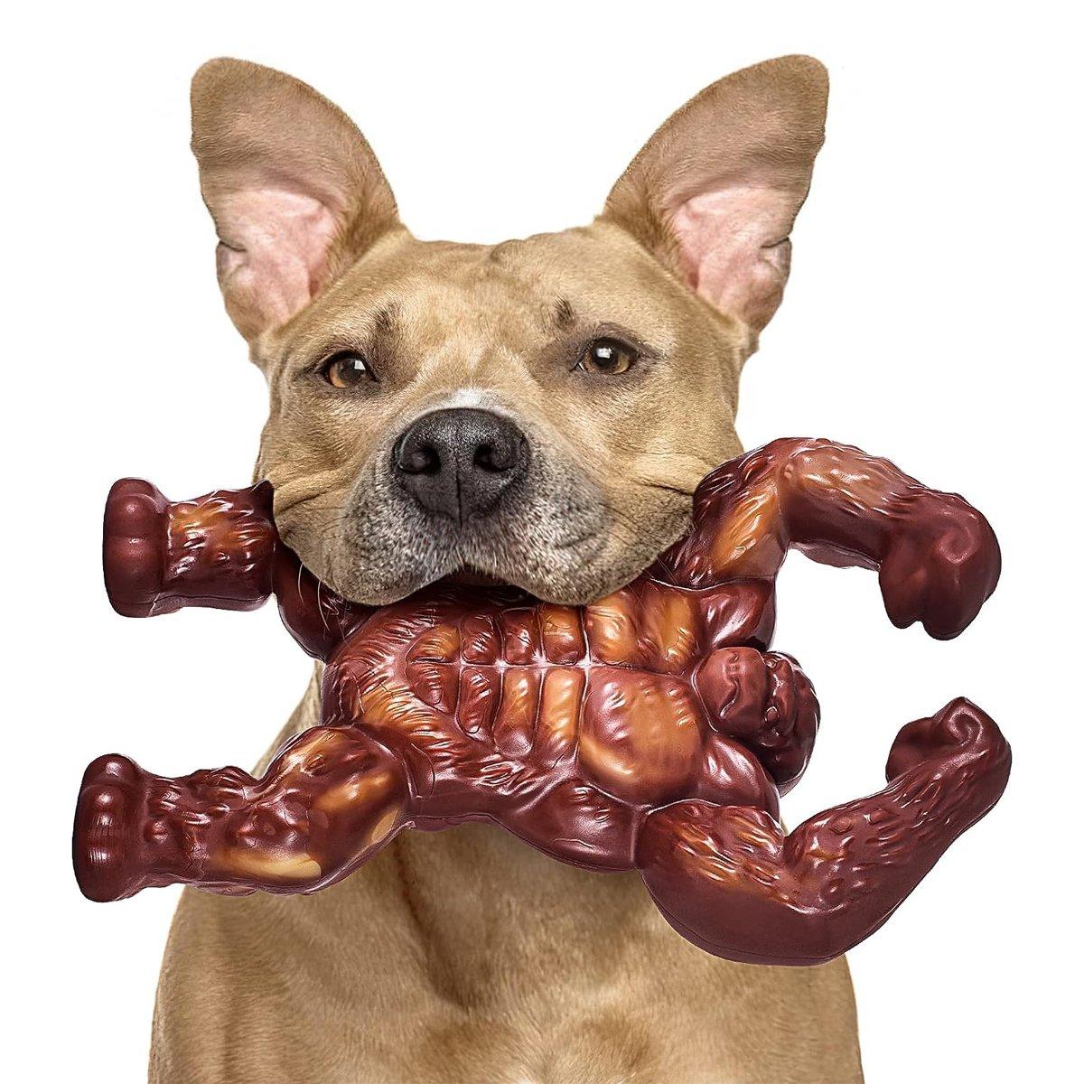 Dog Toys Extreme Tough Interactive Toy