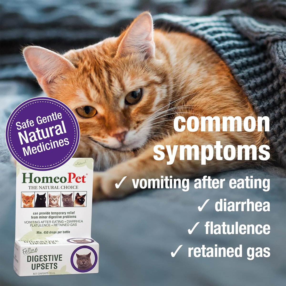 Homeopet Feline Digestive Upsets 15ml