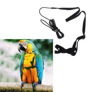 Pet Parrot Bird Harness & Lead Leash