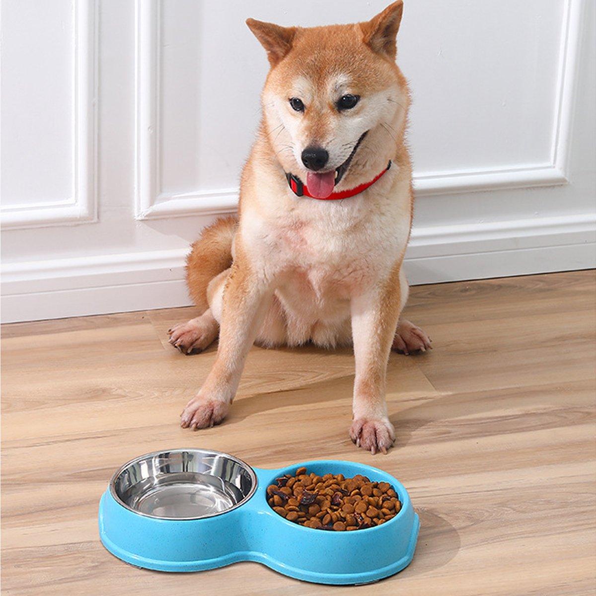 Pet Slow Eating Bowl with Stainless Steel Dog Bowls