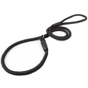 Dog Training Correction Leash Brown