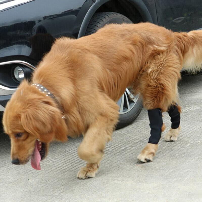 Pet Dog Knee Support S/M/L/XL