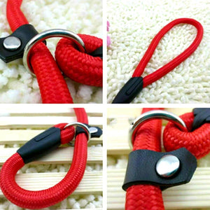 Dog Training Correction Leash Brown