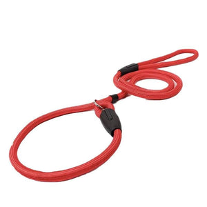 Dog Training Correction Leash Brown