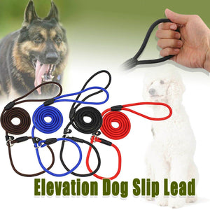 Dog Training Correction Leash Brown