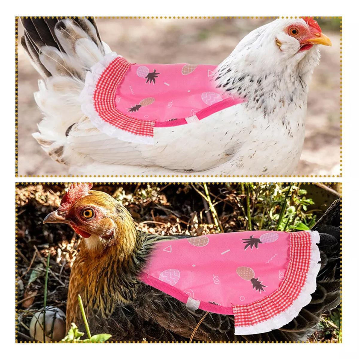 5PC Chicken Saddle Apron for Hen Protection Feather Regeneration & Comfort