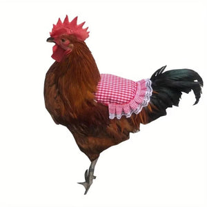 5PC Chicken Saddle Apron for Hen Protection Feather Regeneration & Comfort