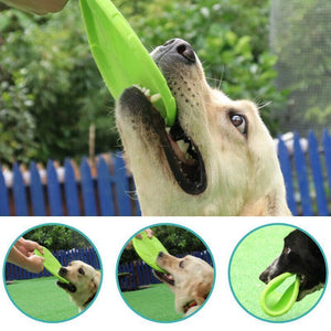 High-Quality Dog Frisbee for Dogs