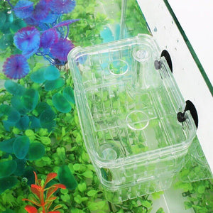 Durable Fish Tank Breeding Box for Safe Fish Separation