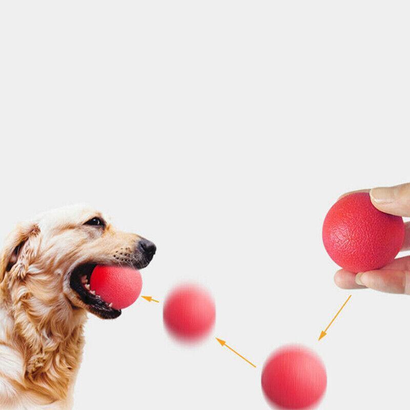 Dog Ball Toys for Interactive Play