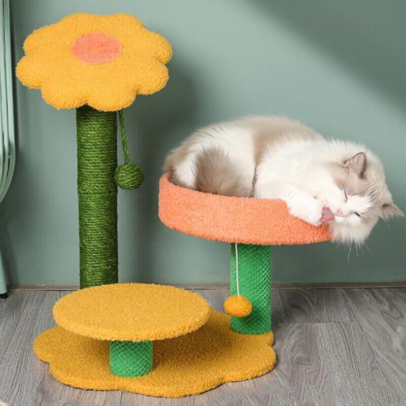 Cat Scratching Post