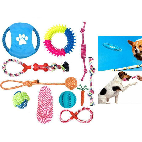  Durable Dog Chew Toys