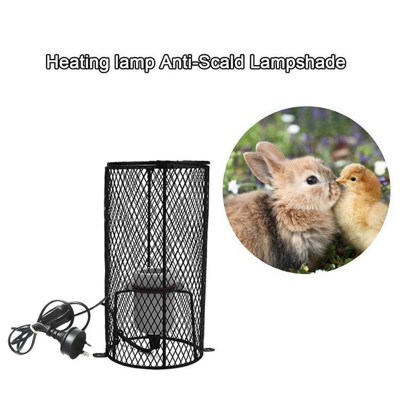 Reptile Heat Lamp Holder