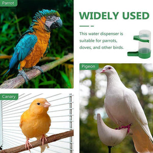 4-Piece Set Bird Water Feeder and Food Feeder for Bird Cages