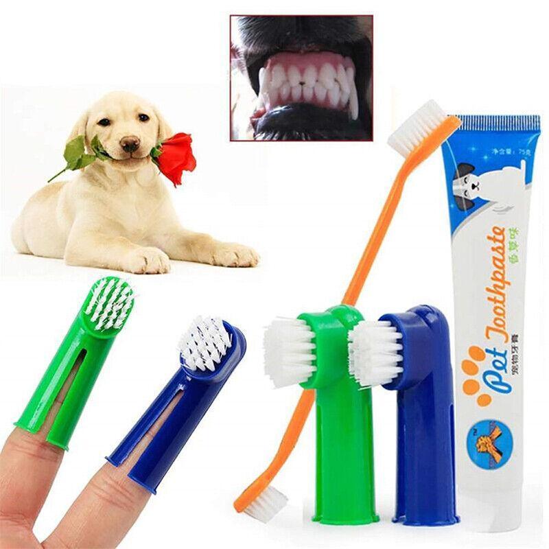 Dog Toothbrush for Effective Dental Care