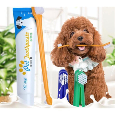 Dog Toothbrush for Effective Dental Care