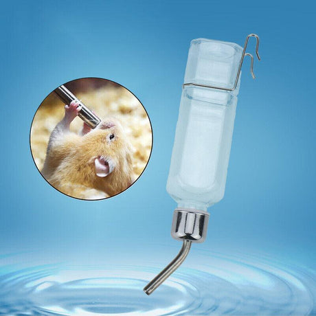 Rabbit water bottle feeder for hydration