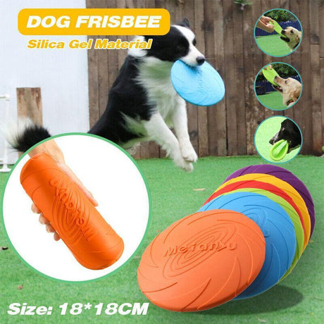 High-Quality Dog Frisbee for Dogs