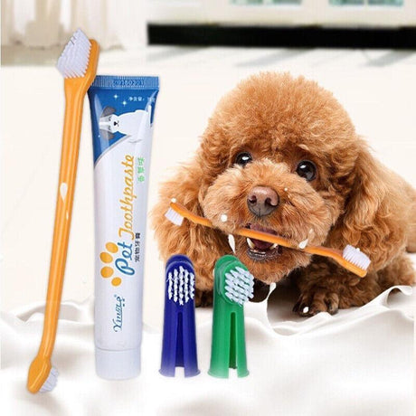 Dog Toothbrush for Effective Dental Care