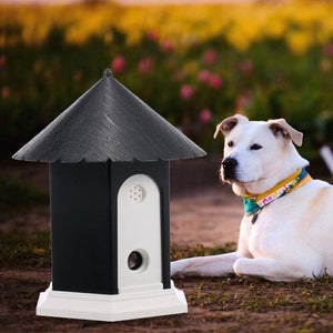 Ultrasonic anti barking device