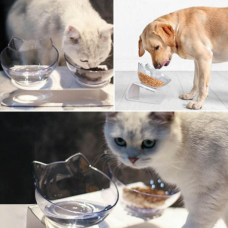 Modern and durable Raised Dog Bowls for improved pet dining